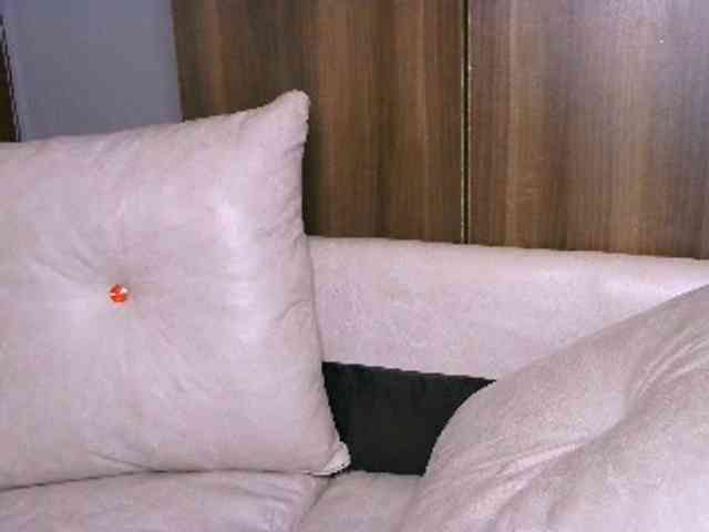 Cece-16 webcam