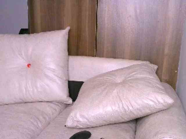 Cece-16 webcam