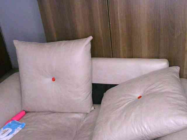 Cece-16 webcam