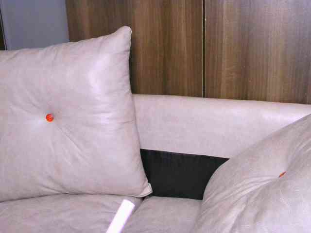 Cece-16 webcam