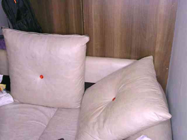 Cece-16 webcam