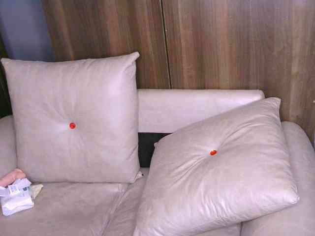 Cece-16 webcam
