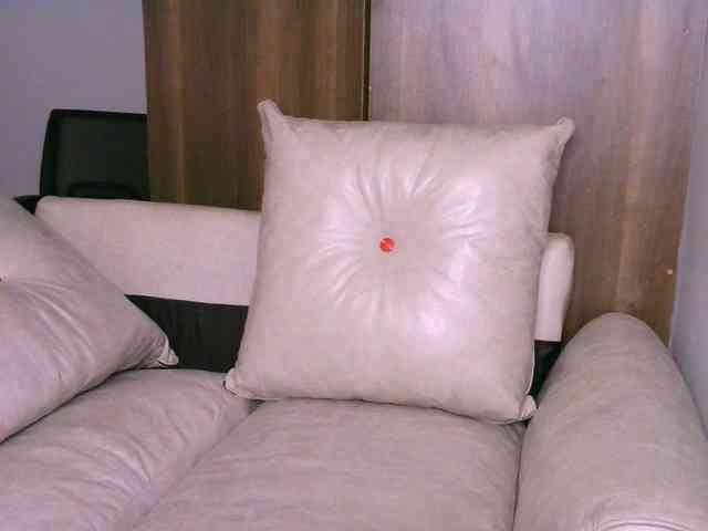 Cece-16 webcam
