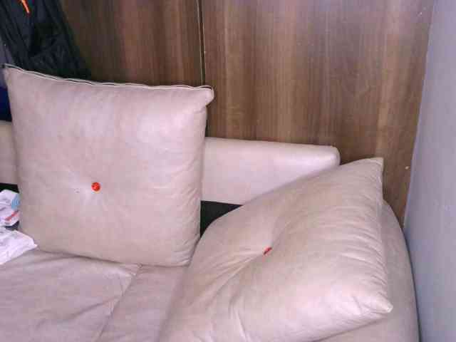 Cece-16 webcam