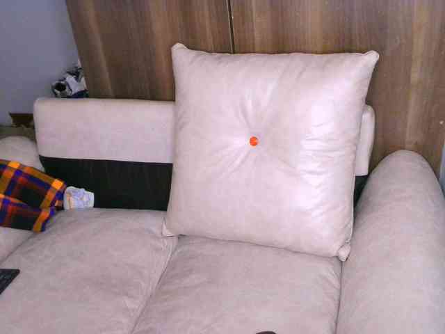 Cece-16 webcam