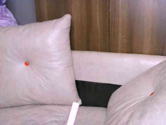 Cece-16 webcam