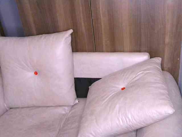 Cece-16 webcam