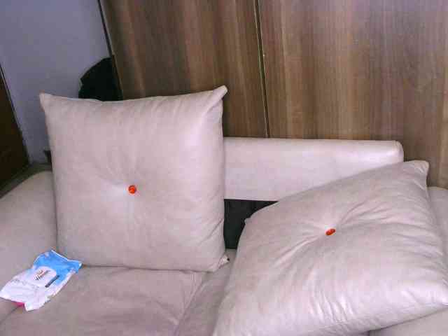 Cece-16 webcam