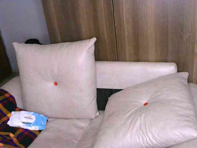Cece-16 webcam