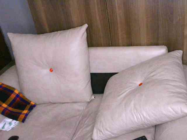 Cece-16 webcam