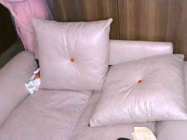 Cece-16 webcam