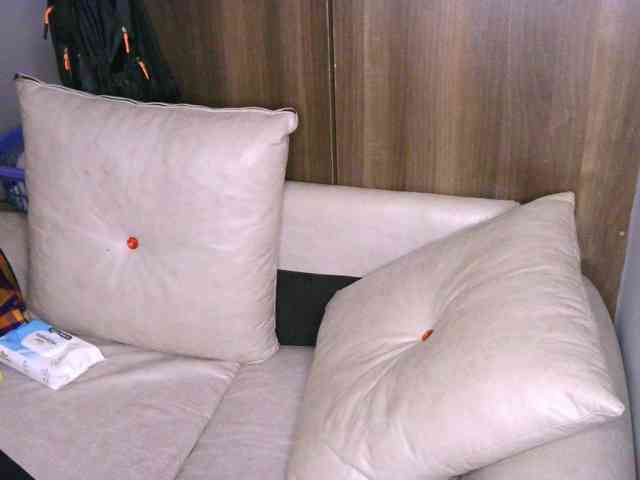 Cece-16 webcam
