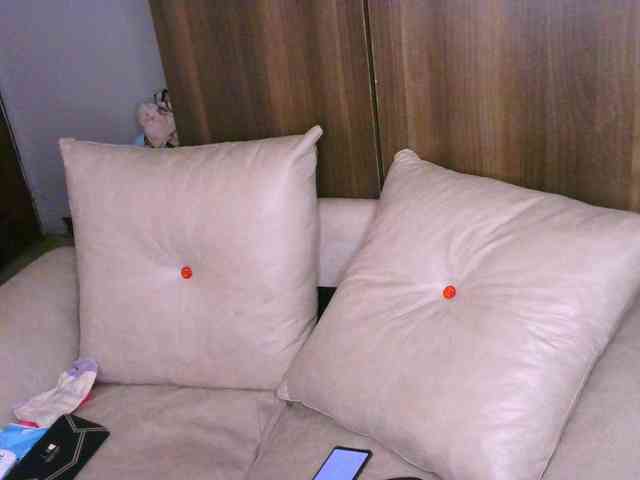 Cece-16 webcam