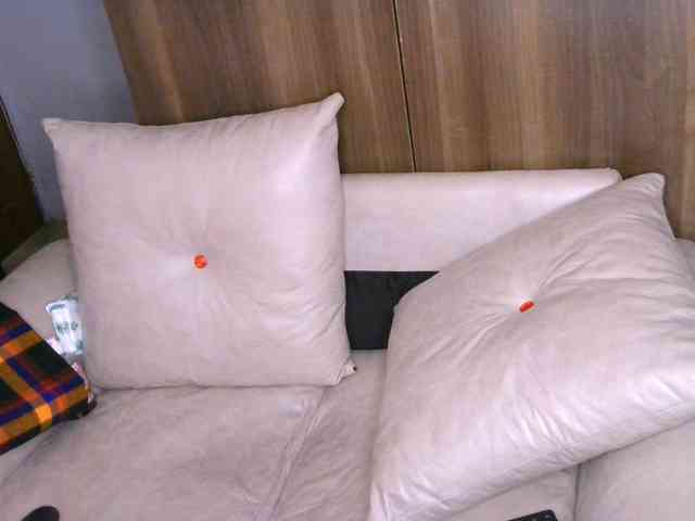 Cece-16 webcam