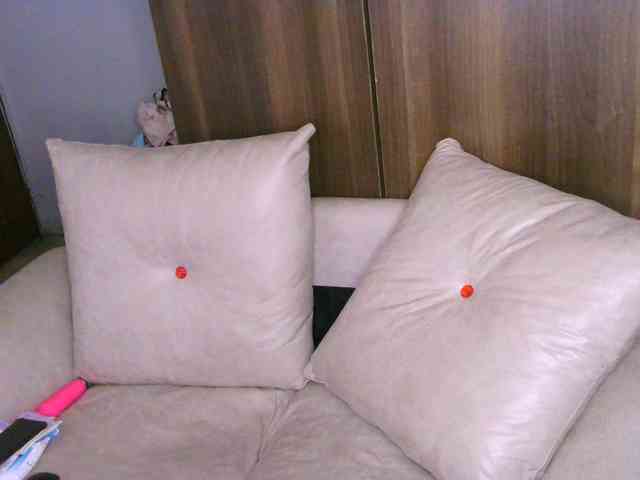 Cece-16 webcam