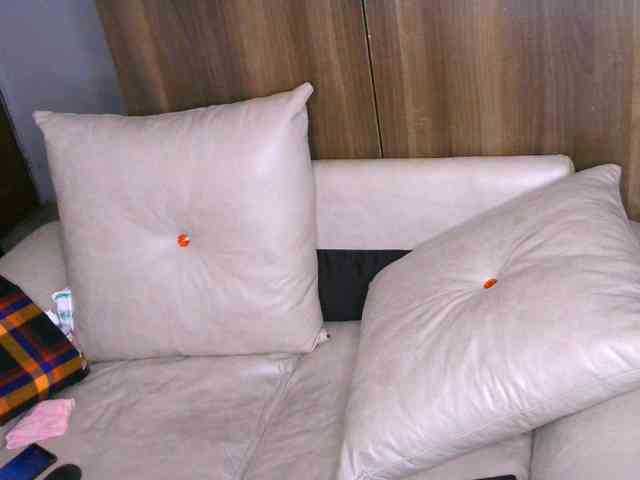 Cece-16 Cece-16