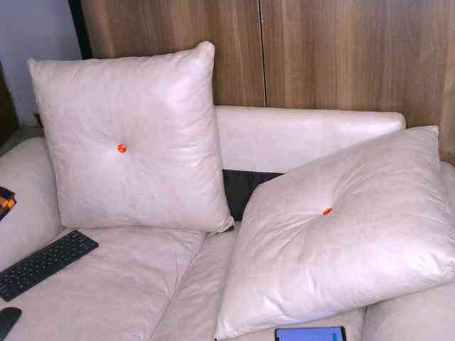 Cece-16 webcam
