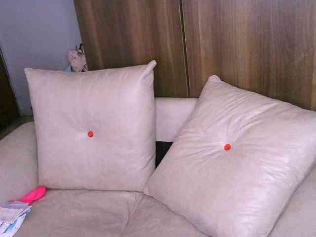 Cece-16 webcam