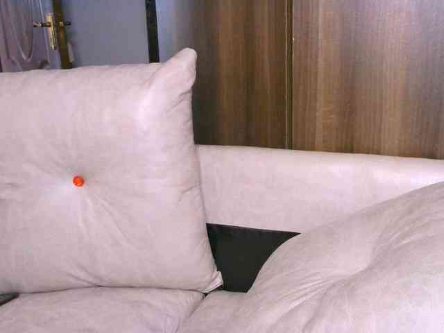 Cece-16 webcam
