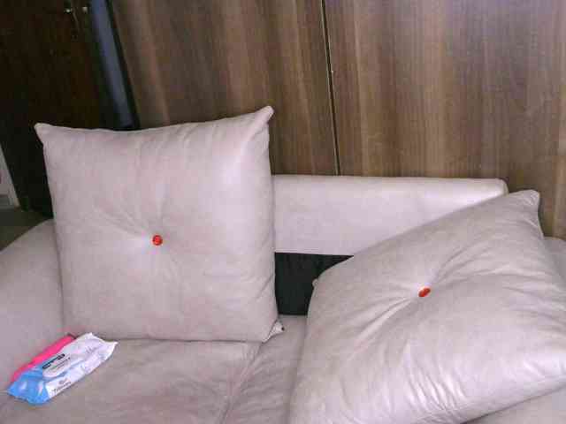 Cece-16 webcam