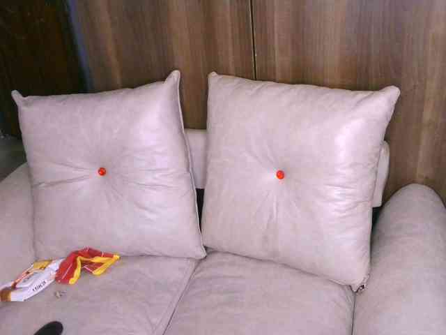 Cece-16 webcam
