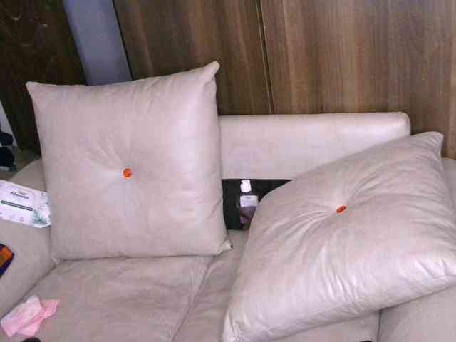 Cece-16 Cece-16
