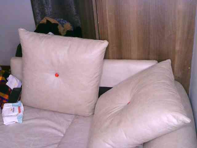Cece-16 webcam