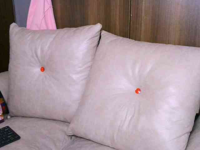 Cece-16 webcam