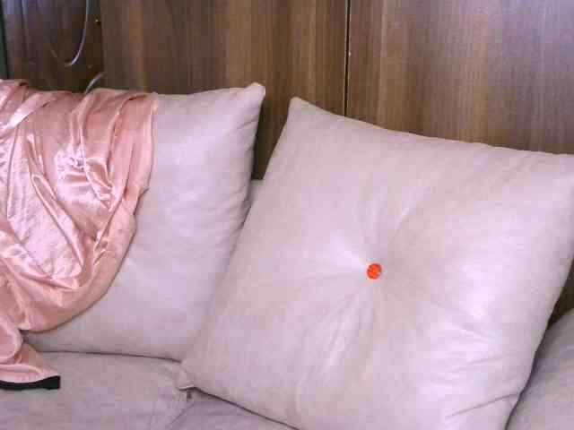 Cece-16 webcam