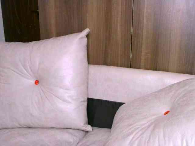 Cece-16 webcam
