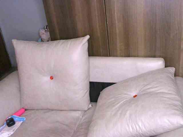 Cece-16 webcam