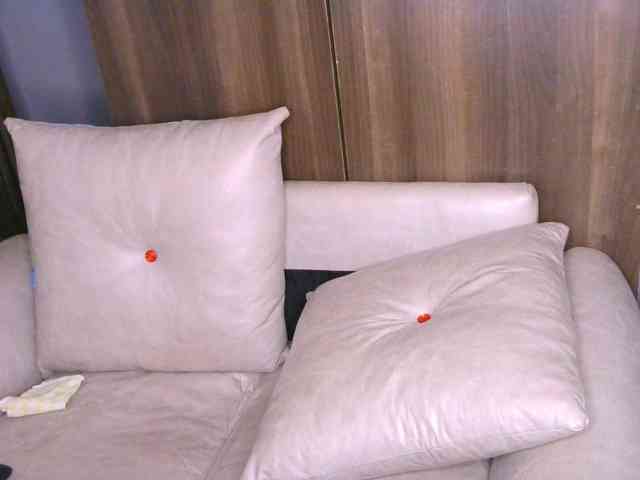 Cece-16 webcam