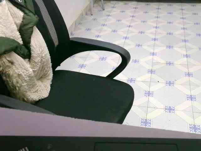 Cece-16 webcam