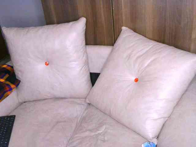 Cece-16 webcam