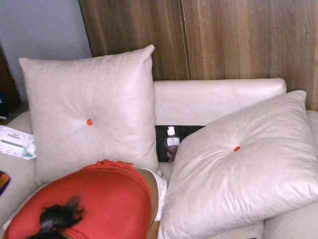 Cece-16 Cece-16
