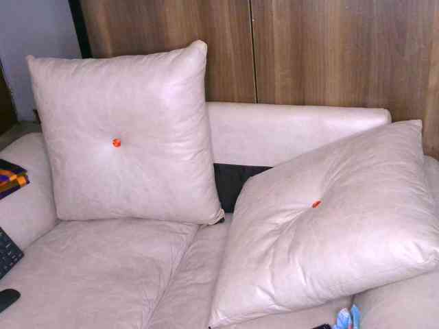 Cece-16 webcam
