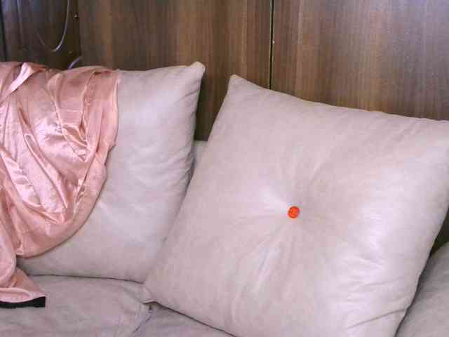 Cece-16 webcam