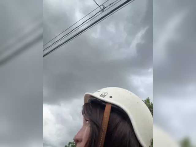 HoneyLili