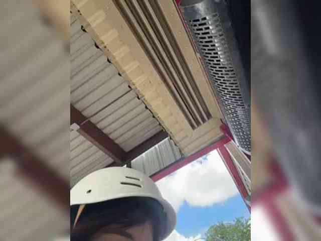 HoneyLili webcam