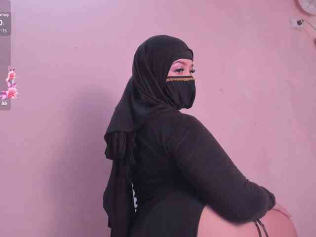 hana-falak webcam