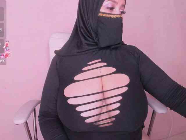 hana-falak webcam