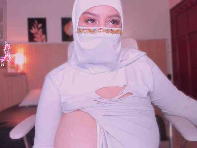 hana-falak webcam