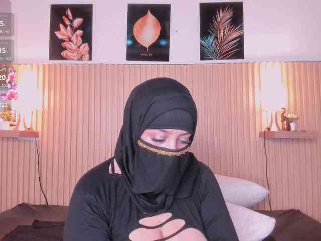 hana-falak webcam