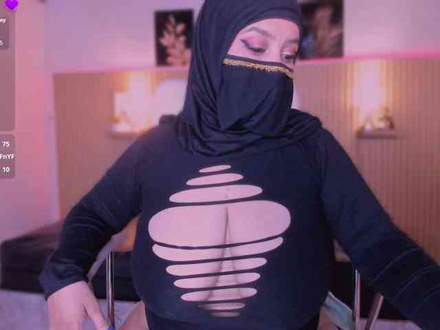 hana-falak webcam