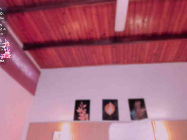 hana-falak webcam