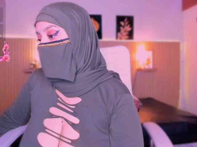 hana-falak webcam
