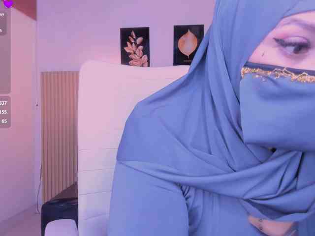 Modèle: hana-falak