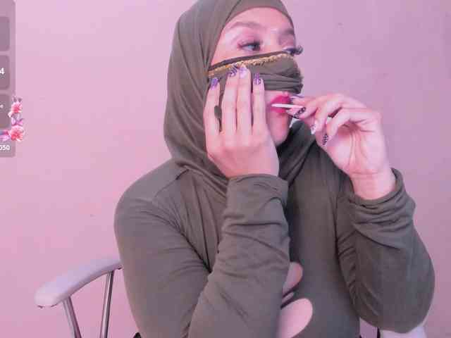hana-falak webcam