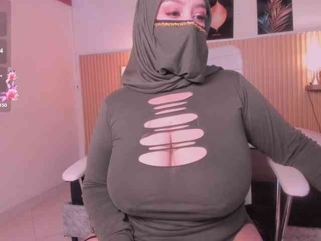 hana-falak webcam