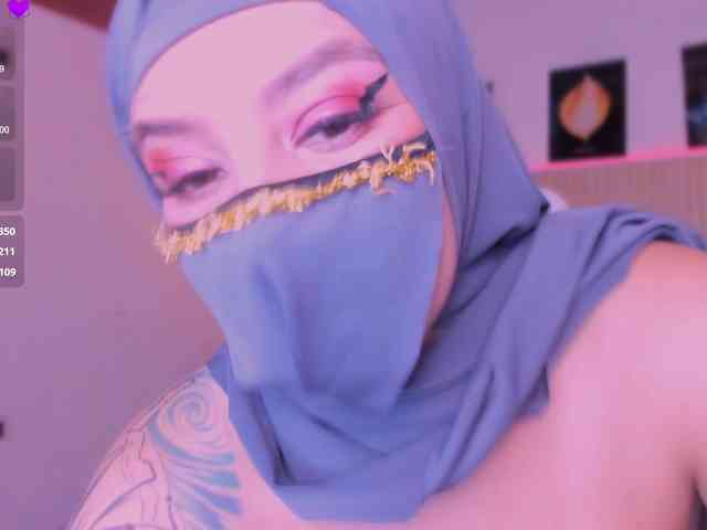 hana-falak webcam
